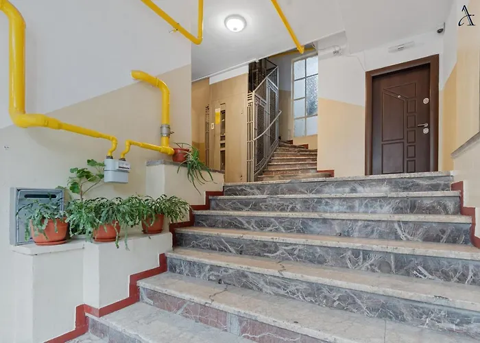 11 Bucharest